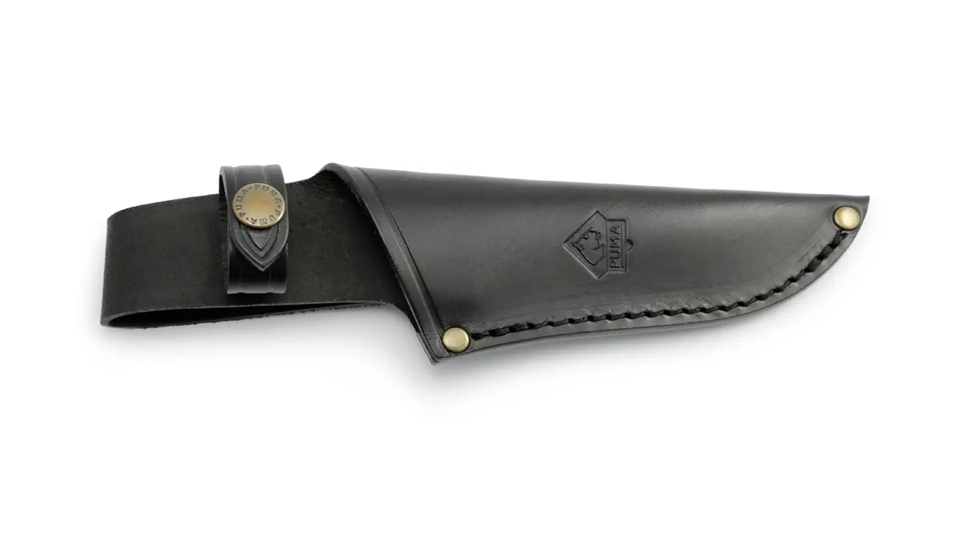 Puma Saubart in Lederscheide