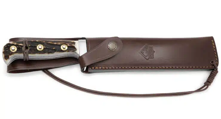 Puma Phoenix Hirschhorn kaufen