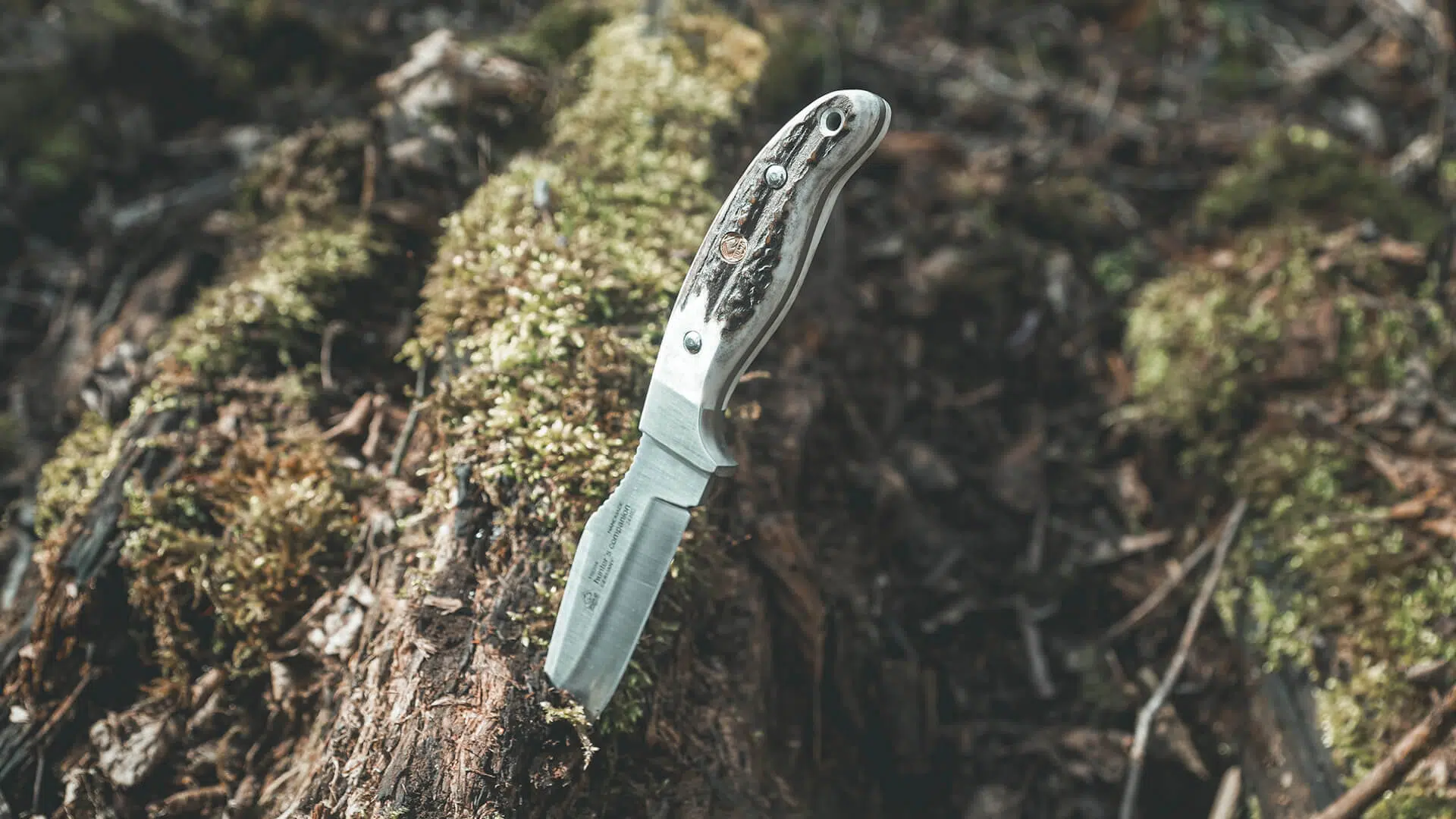 puma-jagdmesser-hunters-companion-hirschhorn-kaufen