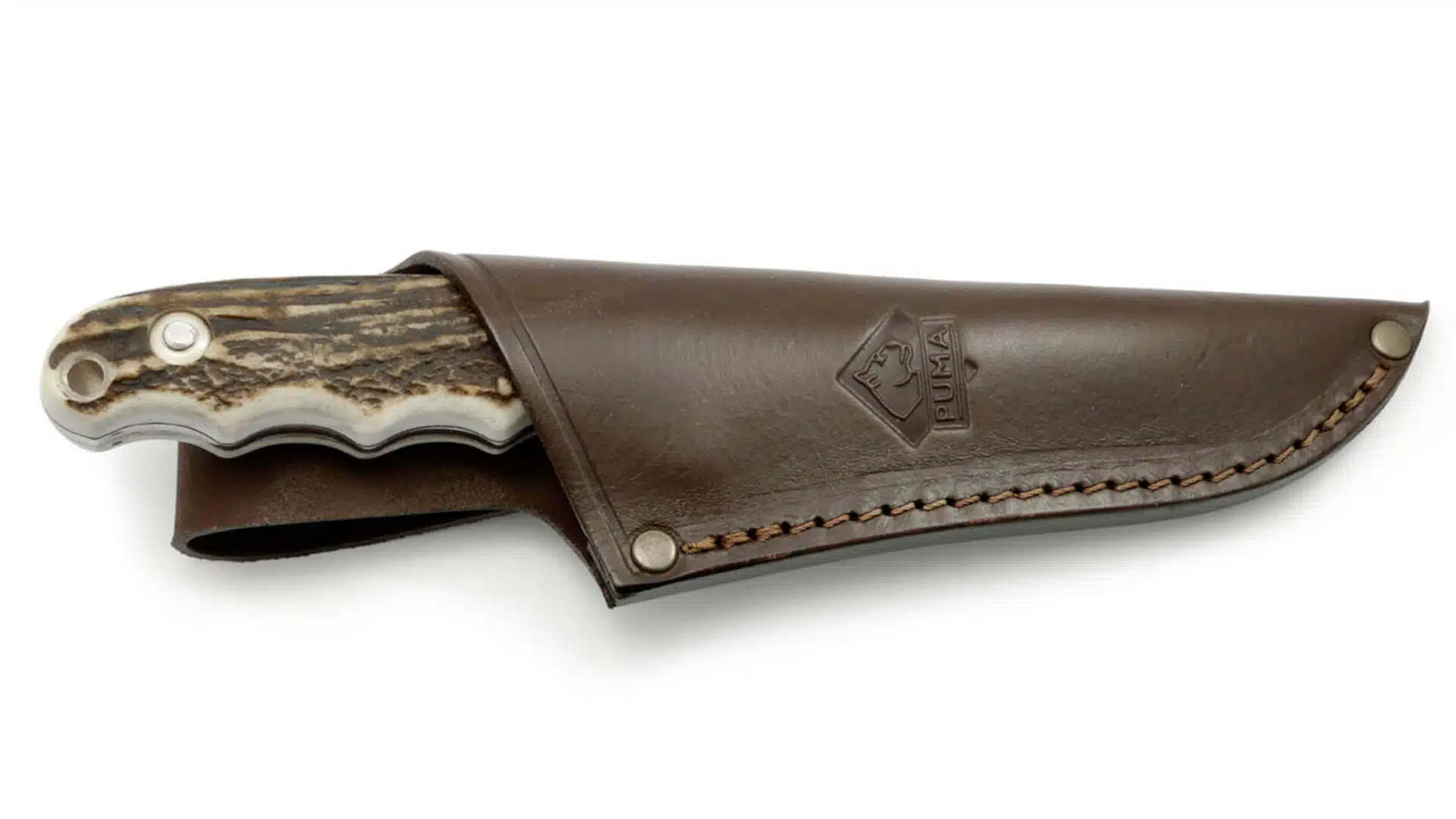 puma-saubart-hirschhorn-lederscheide