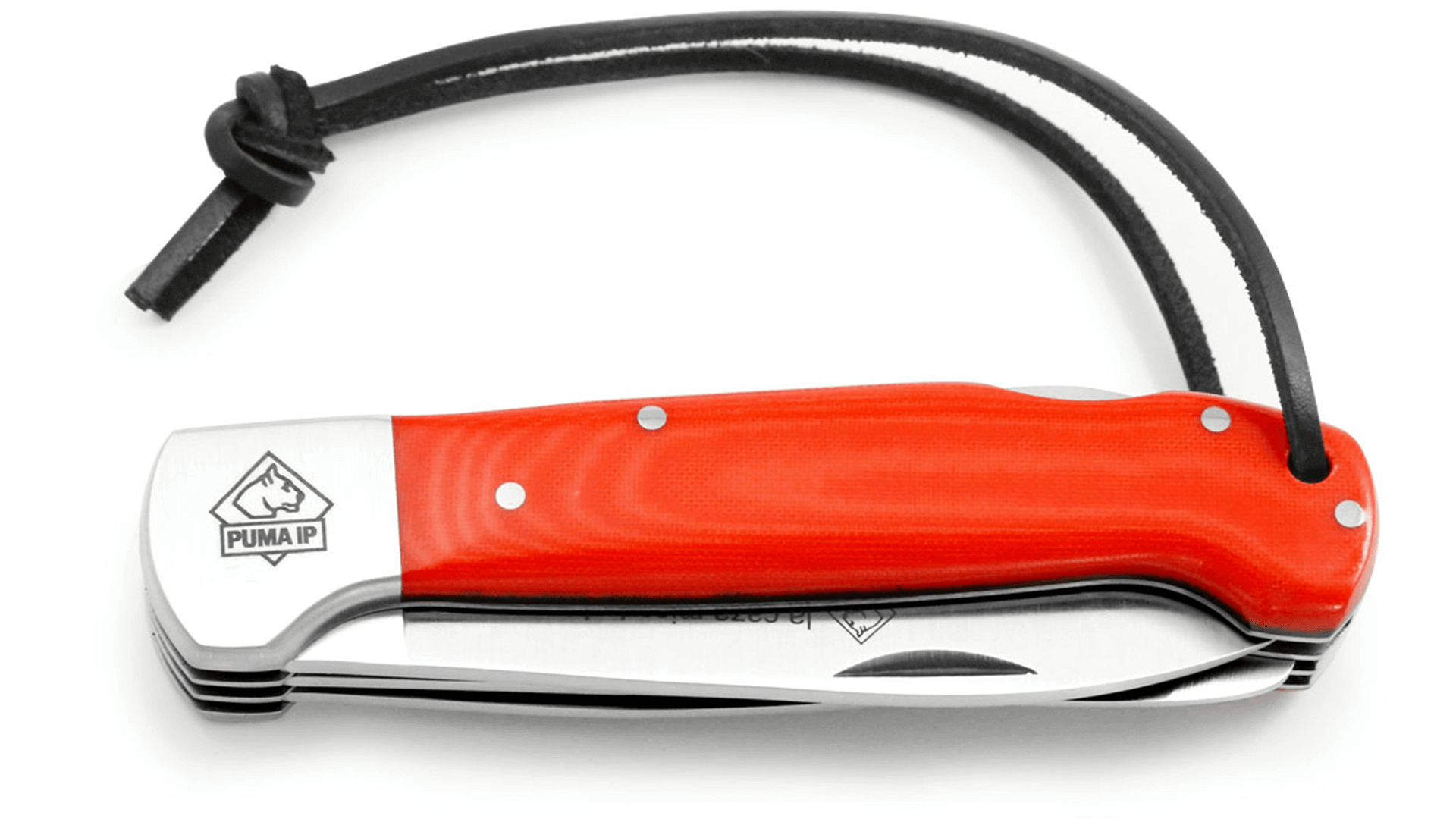 puma-ip-la-caza-micarta-1-from-solingen-klingestadt-with-pry-blade-folded-closed