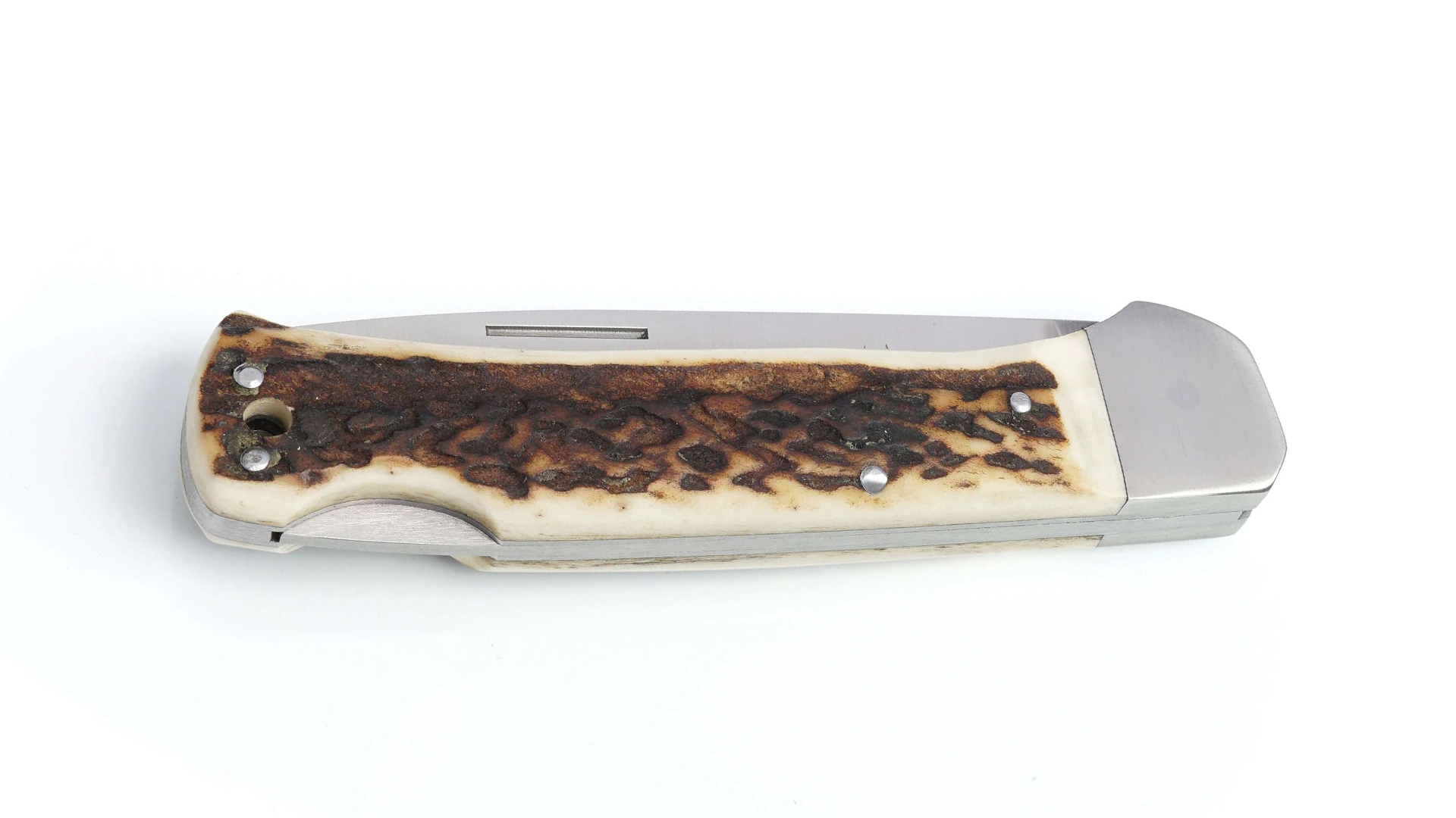 rotwild-jagdtaschenmesser-reinecke-zugeklappt