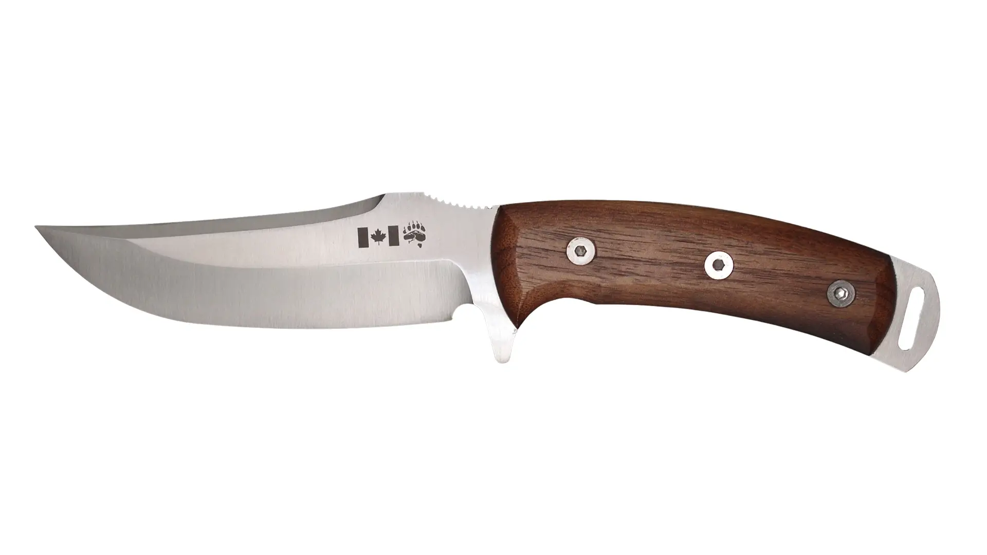 teckel-baer-jagdmesser-nussbaum-holz-solingen-rueckansicht