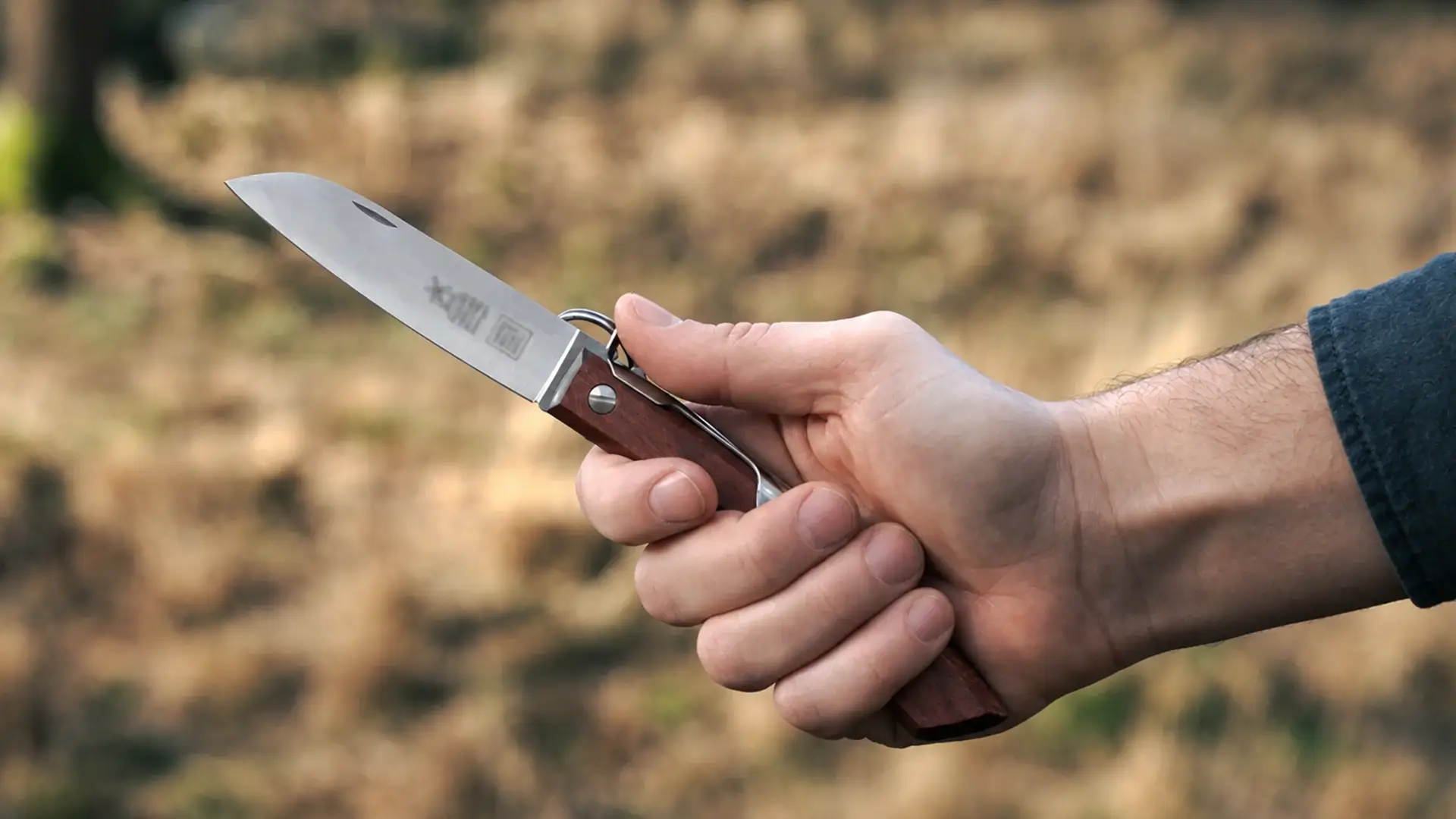 ibex-taschenmesser-herobild-messer-liegt-in-einer-hand-pflaume